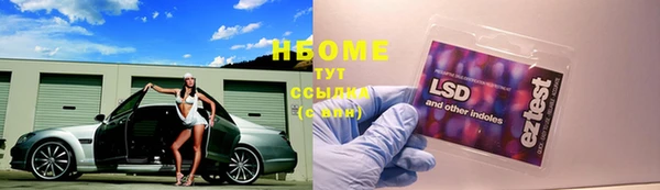дмт Абаза