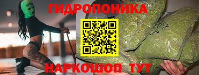 МДПВ Можга