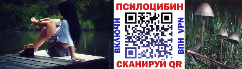 Псилоцибиновые грибы Magic Shrooms  купить наркотики сайты  Янаул 